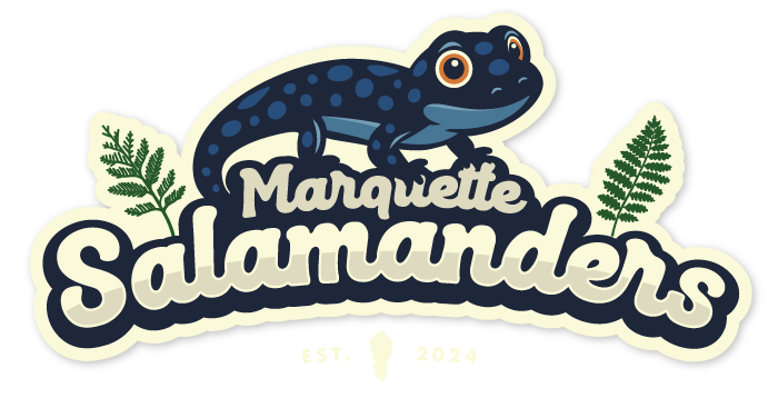 The Marquette Salamanders